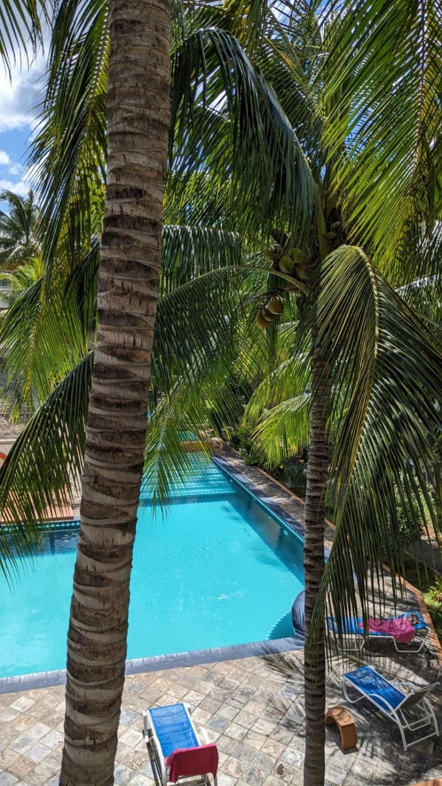 Charming Apartment Close To Beach & Amenities - Appartement De Charme Proche Plage Flic-en-Flacq المظهر الخارجي الصورة